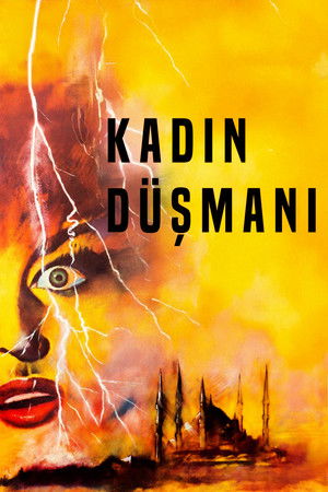 Póster de la película Kadın Düşmanı