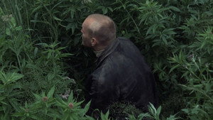 Сталкер