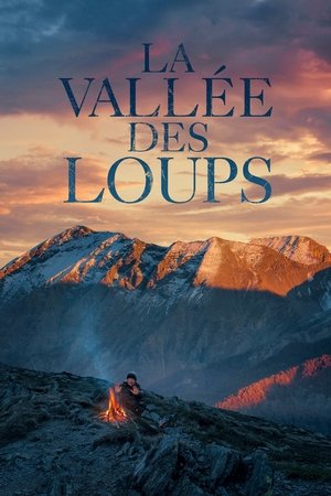 Póster de la película La vallée des loups