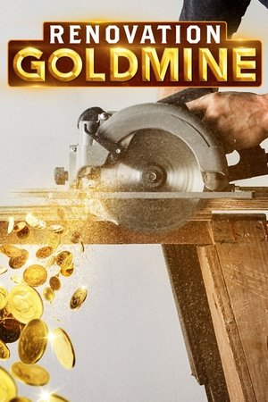 watch renovation goldmine tv show poster