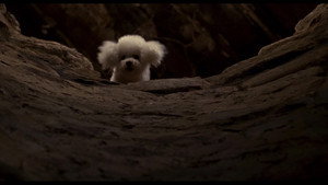 The Silence of the Lambs