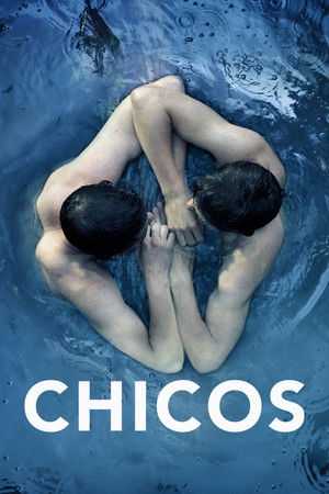 Póster de la película Chicos