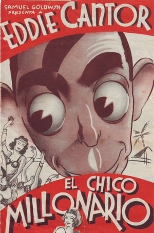 Póster de la película El chico millonario