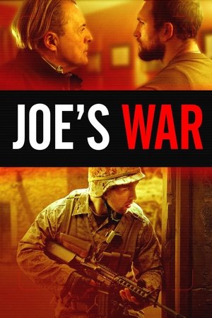 Póster de la película Joe's War