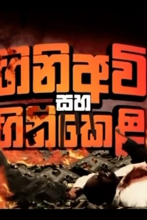 watch gini avi saha gini keli tv show poster