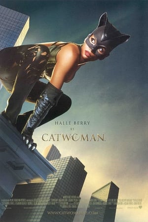 Póster de la película Catwoman
