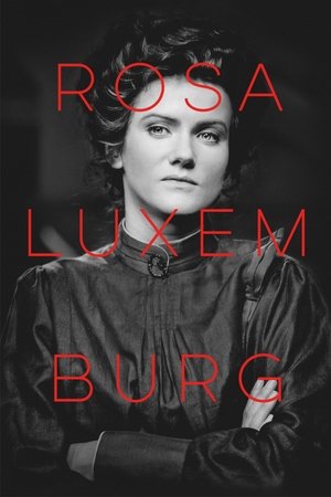 Póster de la película Rosa Luxemburgo