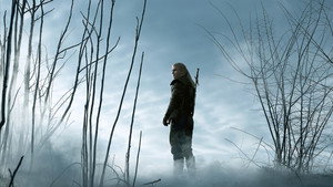 The Witcher