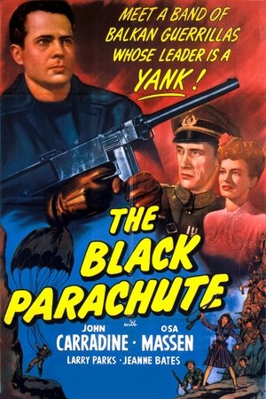 Póster de la película The Black Parachute