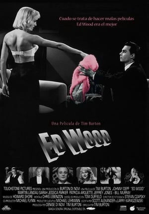 Póster de la película Ed Wood