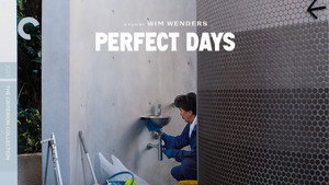 PERFECT DAYS