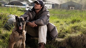 The Dog Stars