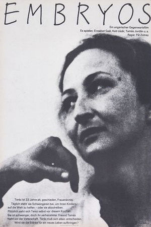 Default Netflix logo