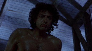 The Fly