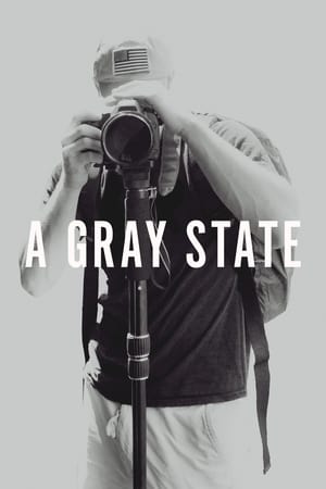 Póster de la película A Gray State