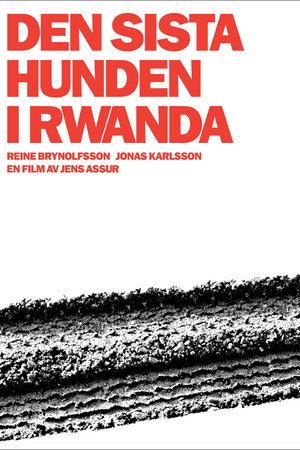 The Last Dog in Rwanda