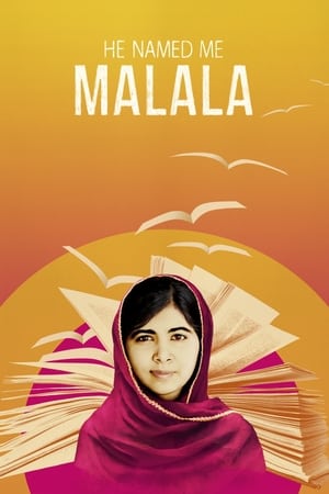 Póster de la película El me llamó Malala