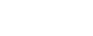 SDI: Departamento secreto de intervencion