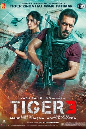 Póster de la película Tiger 3