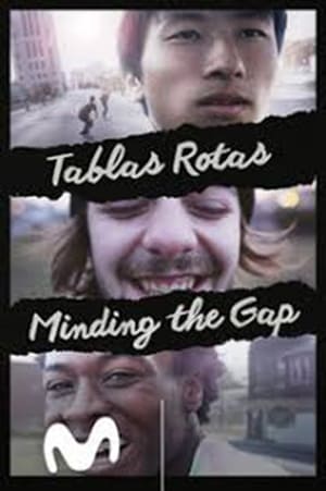 Póster de la película Tablas rotas. Minding the Gap