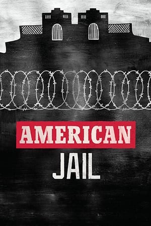Póster de la película American Jail