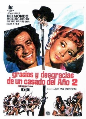 Póster de la película Gracias y desgracias de un casado del año II