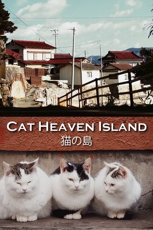watch cat heaven island movie poster