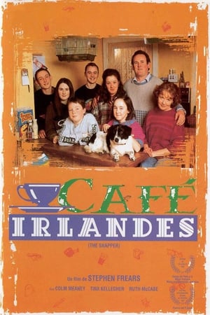 Póster de la película Café irlandés