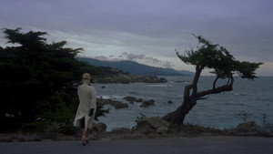 Vertigo