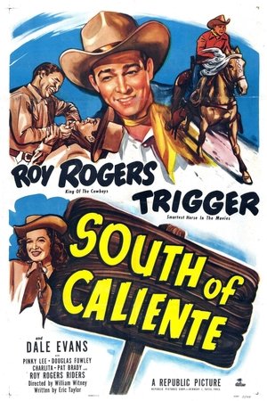 Póster de la película South of Caliente