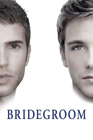 Póster de la película Bridegroom