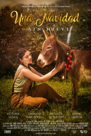 Póster de la película Una Navidad sin nieve