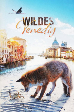 Póster de la película Wildes Venedig