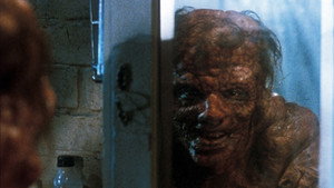 The Fly