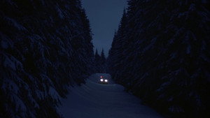 The Shining