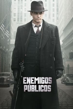 Póster de la película Enemigos públicos