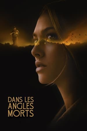 Dans les angles morts Streaming VF VOSTFR