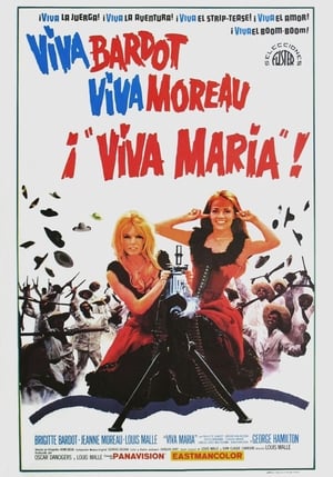 Póster de la película ¡Viva María!