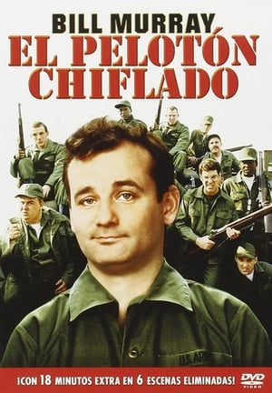 Póster de la película El pelotón chiflado