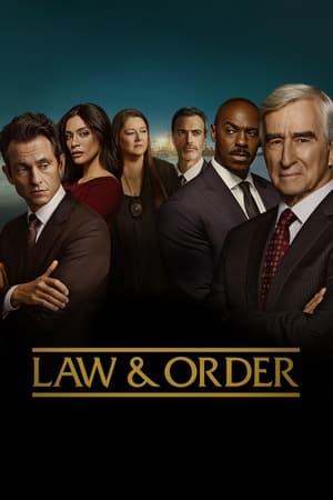 Póster de la serie Law & Order