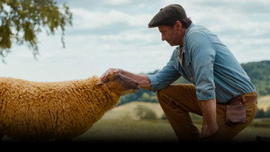 The Sheep Detectives