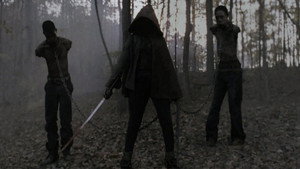 The Walking Dead