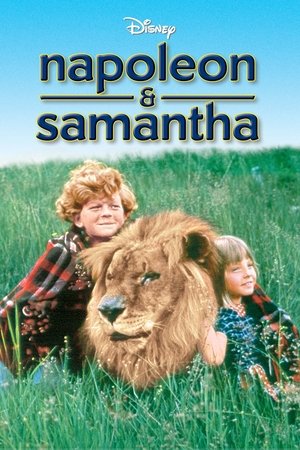 Póster de la película Napoleón y Samantha