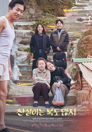 Póster de la película 찬실이는 복도 많지
