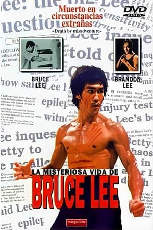 Póster de la película La misteriosa vida de Bruce Lee