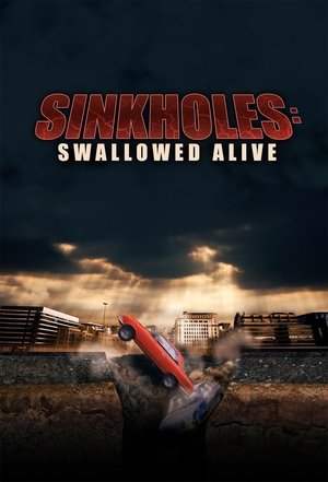 watch sinkholes: swallowed alive tv show poster