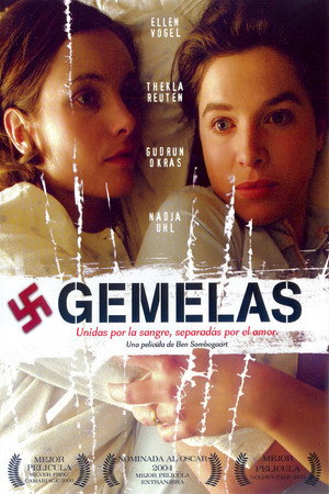 Póster de la película Gemelas