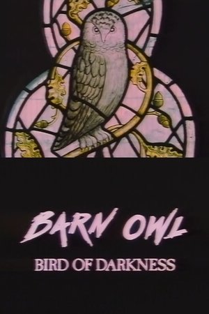Barn Owl: Bird of Darkness