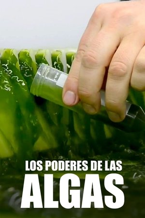Póster de la película Algen: Ein unbekannter Rohstoff