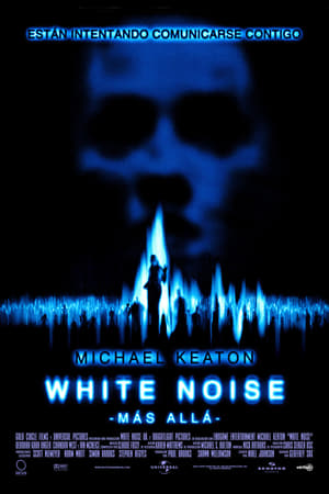 Póster de la película White Noise: Más allá